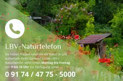 Blumenwiese, Foto: Thomas Staab