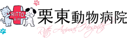 一般診療も経験豊富で、眼科診療にも力を入れている栗東動物病院