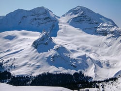 (L) The Vice President, (R) The President, Hut is located in the forest