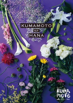 JA熊本経済連様　熊本の花イメージポスター