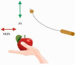 Resonanztest mit Apfel und Einhandrute mit JA NEIN anzeige