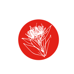 Illustration graphique d’un cercle rouge décoré de fleurs éclatantes de Rata, arbre endémique des forêts côtières et montagneuses de Nouvelle-Zélande.