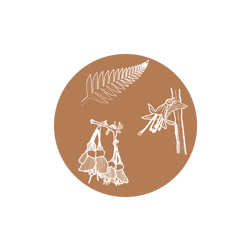 Illustration graphique d’un cercle marron composé de fleurs natives variées (Manuka, Kanuka, Rewarewa…), représentant la diversité florale du Miel de Forêt Tropicale de Nouvelle-Zélande.