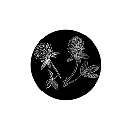 Illustration graphique d’un cercle noir orné de fleurs de Trèfle blanc, emblématiques des prairies néo-zélandaises où ce Miel est récolté.