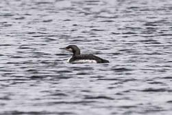 Mit dem Wohnmobil in Estland