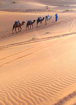 モロッコ・サハラ砂漠/すべてがフォトジェニック♡
