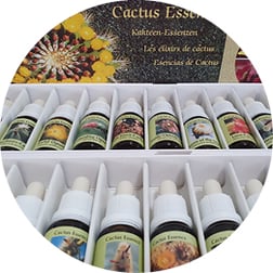 PHI Essenzen, Praxis für Kinesiologie & Komplementärtherapie in Meisterschwanden, Seetal