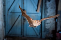 Foto: C. Giese & R. Leitl