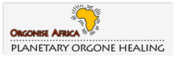 Orgonise Africa