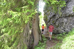 Biel bewegt Gangbachweg