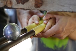 à découvrir à Miripili, l'Ile aux Pirates, situé entre Grenoble Valence Romans et Lyon, dans l'Isère aux Porte de la Drôme.