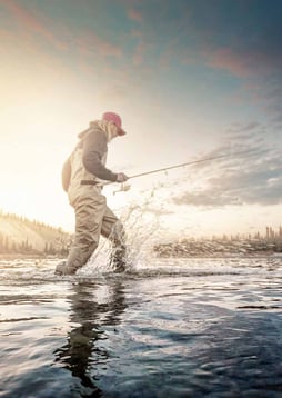 Blue Fox Spinner Impression Bild Spinnfischen
