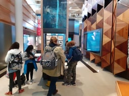 Somme Groupes - Voyages en groupes - Samara - Somme - Groupes - Chaussée Tirancourt - Préhistoire - Gaulle - Amiens - Ateliers - Picardie - Hauts de France - Séjour - Parc Naturel - Histoire