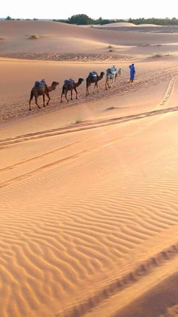 広大なサハラ砂漠