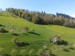 Blick aus dem Fenster in Richtung Tal