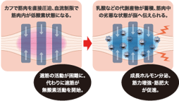 MCトレーニングとは？
