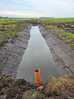 Grabenaufweitung und -anstau © F. Pechan