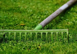 back pain while gardening