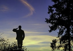 chiropractic for veterans