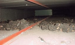 空調ダクト清掃前の汚れた状態