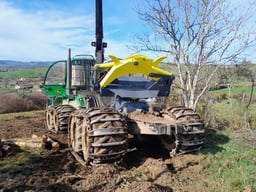 porteur et klemmbank en démonstration en forêt