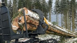 klemmbank chargé de grumes en position fermé