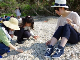 ビーチで貝がらやサンゴを探している女の子たち