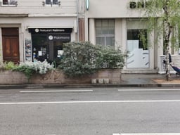 Photo prise par Honor 9X Pro (zoomX2)