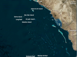 Tauchsafari Farasan Banks