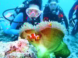 PADIダイバー-埼玉県川口市ダイビングセンター・エナジー-