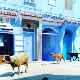 ＠mika_chaouen インスタ