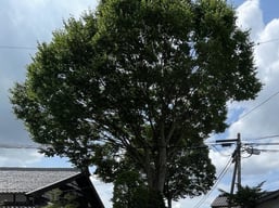 水汲の家Ⅰ(松本市）