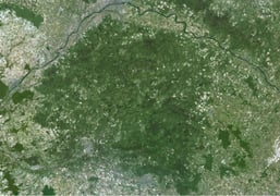 La forêt de sologne