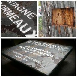 Inauguration de la plaque d'identification du slingshot du parc La Fontaine