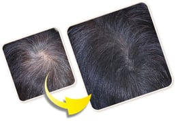 　　　　　　ブラックカラー使用例