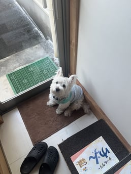 角に収まるのが好きらしい