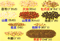 牛車腎気丸 漢方煎じ薬