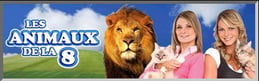 Les animaux de la 8