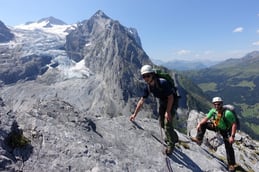 Rosenlauistock, Blick auf Rosenlauigletscher & Wellhorn 
