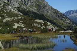 Hochmoor im Göscheneralptal, UR