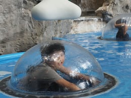 水で遊んだり・・・