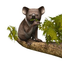 Artwork Outback Pet Rescue 3D