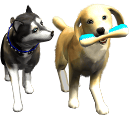 Artwork Me & My Pets 3D