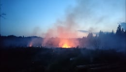 Waldbrand zwischen Oberwart und Buchschachen