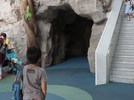 地下へのツアーに参加したり