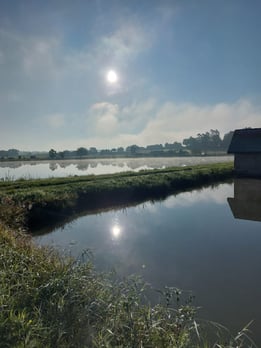 Nebel über den Weihern  ©Doris Sauer