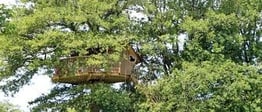 Cabane en l'air R sur un arbre perché