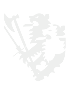 mittelalterlicher Kampfsport!