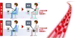 血流増大の作用