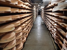 Toute la production est transformée en fromage d'Abondance